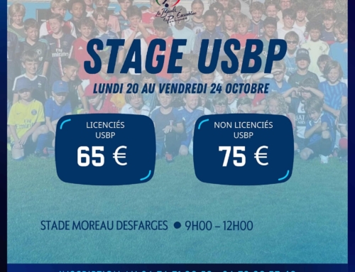 stage toussaint